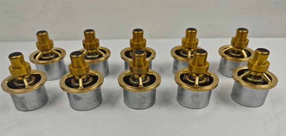 njsschina.com